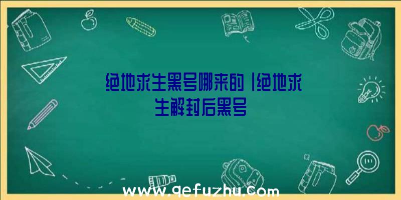 「绝地求生黑号哪来的」|绝地求生解封后黑号